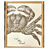 Sea Horse Specimen No. 1749 & Crab Specimen No. 1005 - Framed Marine Prints