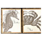 Sea Horse Specimen No. 1749 & Crab Specimen No. 1005 - Framed Prints