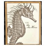 Sea Horse Specimen No. 1749 & Crab Specimen No. 1005 - Framed Prints