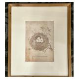 Nest & Eggs of the Skylark - Framed Vintage Natural History Print