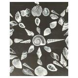 Seashell Radial Collage Framed Wall Art