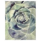 Succulent Art Print & Silver Frame
