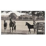 Dog Statue Lamp Set - Black Ceramic Table Lamp & Dog Figurine Accent, Vintage Decor