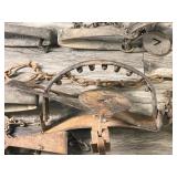 Lot of 24 Vintage Hunting Traps - Looks like Most of them are Victor - see description for more info