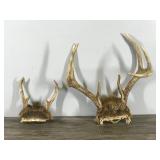 6 & 7 Point White Buck Antlers