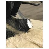 3 - Collectible Duck Figurines