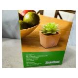 New Zendozones Fruit Fly Trap