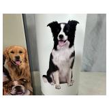 New Serengeti Vacuum Insulated Stainless Steel Water Bottle - Border Collie Dog