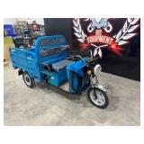 ELECTRIC TRICYCLE	SDLANCH	2025	Unused	IRET14