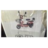 ELECTRIC MOTORCYCLE	SDLANCH	2025	Unused	IREV