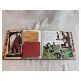 University of Minnesota Football Vault - The History of the Golden Gophers Collectible Book