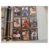 Black Maxx NASCAR Set 1992 (300 cards in a binder)