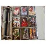 Black Maxx NASCAR Set 1992 (300 cards in a binder)