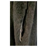 LR - Vintage Mary McFadden Ribnick Furs Minneapolis Coat - Monogrammed Susan C