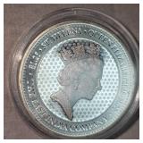 1.25oz Guina Silver Round