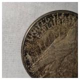 1923S Peace Dollar $1  w/ Dark Toning