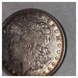 1921 Morgan Dollar $1 VF Plus with Gold Toning