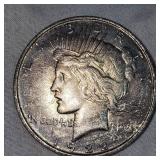 1922 Peace Dollar $1 VF w/ DarkToning