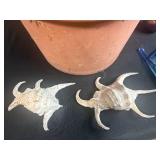 Mixed Lot: Terracotta Pots with Seashells, Hand Tools, and Sprinkler