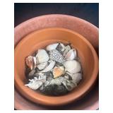 Mixed Lot: Terracotta Pots with Seashells, Hand Tools, and Sprinkler