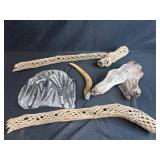 Collection of Petrified Driftwood, Cholla Wood, Fossil Plate, and Antler