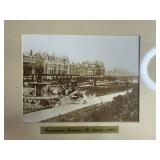 Set of 2 Framed Vintage Prints with Floral and Garden Themes