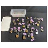 Collection of Vintage and Antique Padlocks with Keys and Chains