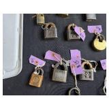 Collection of Vintage and Antique Padlocks with Keys and Chains