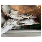 Collection of Assorted Birch Bark Pieces in Lidded Tote