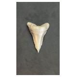 Pure Silver 999 Fine Cast Shark Tooth