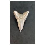 Pure Silver 999 Fine Cast Shark Tooth