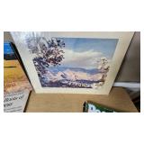 Collection of Magazines Including National Geographic, Life, and National Enquirer