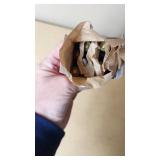 Barnaul 7.62x39 Blank Cartridges