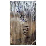 HDMI Cable Approx. 120