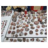 First to Market AGATE COLLECTION