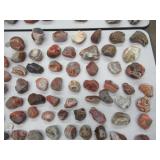 First to Market AGATE COLLECTION