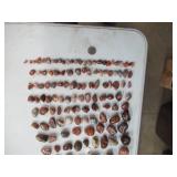 First to Market AGATE COLLECTION