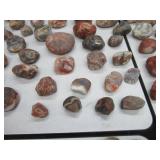 First to Market AGATE COLLECTION