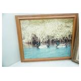 Vintage Framed Photographs. Midwest Waterfowl Theme