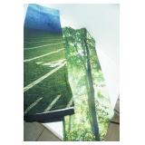 NEW Full Panel Football Field Curtains & Forest Scene smaller Panel (new)