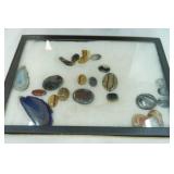 Polished Stones and Sliced Agates in Glass Case