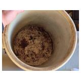 Red Wing Union Stoneware Co. 6-Gallon Crock