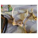 Big Mouth Billy Bass Singing Fish, Antlers, and Various Wildlife Decor Items