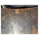 Cow Skull with Horns