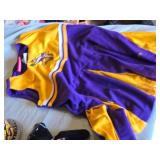 Minnesota Twins Bobblehead, Minnesota Vikings Mug, Goodwrench Service Plus NASCAR Bears, and Vikings Cheerleading Outfit