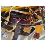 Assorted Belts and Umbrellas Lot