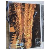 Vintage Art and Music Poster Collection including Norman Rockwell Saturday Evening Post Covers, Crook Bros Photo, and Bluegrass Concert Poster