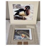 Wood Duck Photo and Fish Stamp Print