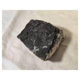 Fossilized Orthoceras (?) Specimen in Rock Matrix