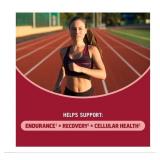 NEW Om Mushrooms Cordyceps Capsules, 195 count